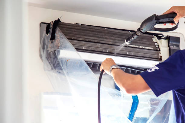 Best Affordable Duct Cleaning Services  in Carrizo Hill, TX