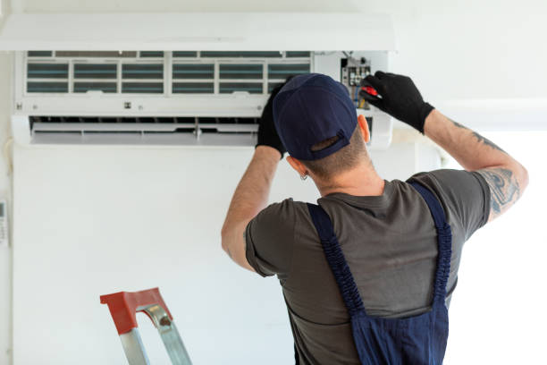 Air Duct Mold Removal in Carrizo Hill, TX